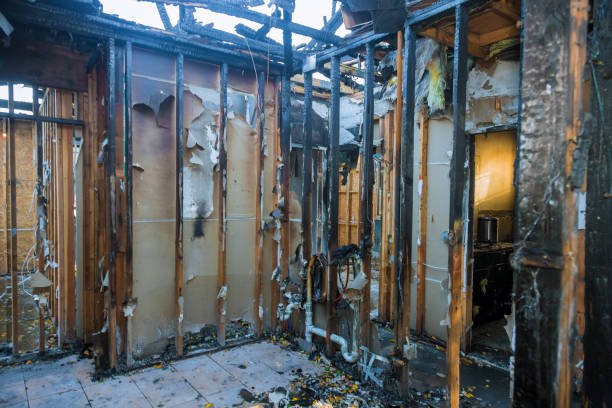 Professional Fire Damage Removal technician working in Granville, IL